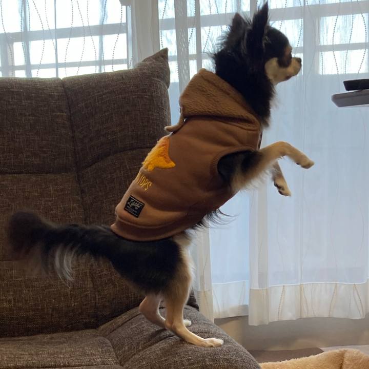 Bfa6169e 342f 4c1c ace9 cac9ba6748f5 1705206269090