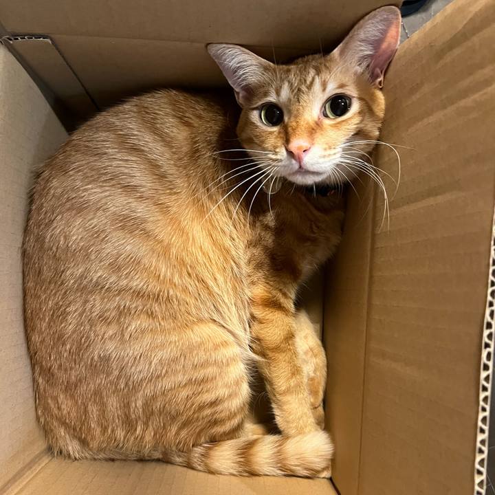 Bfa61b88 bcd8 40fa b85d 097b19465578 1698378603473