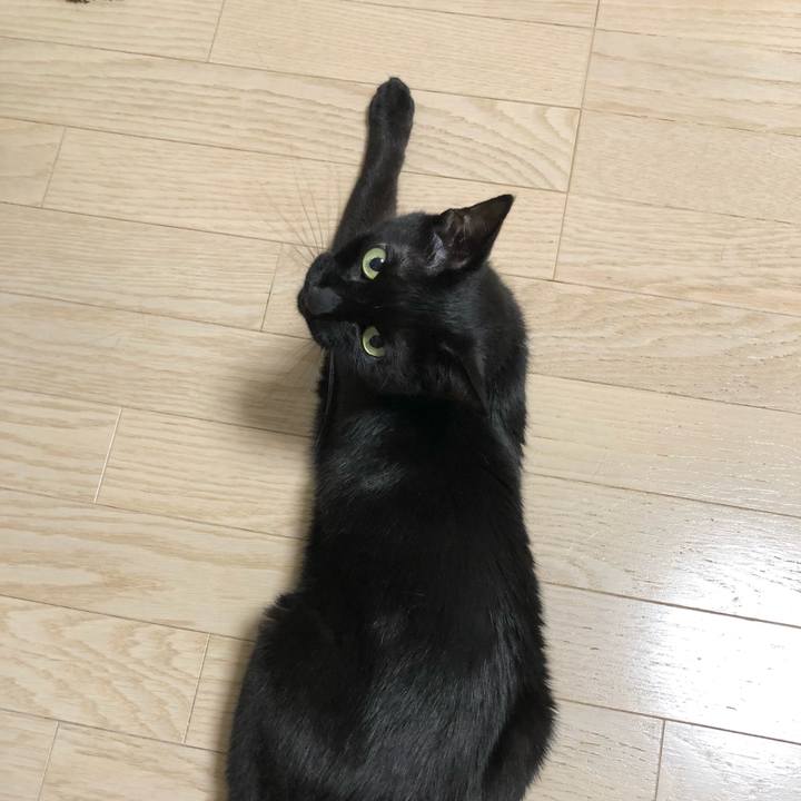 Bfa69a6c cfd5 46e9 be8a 1b5c1264edc4 1622724213808