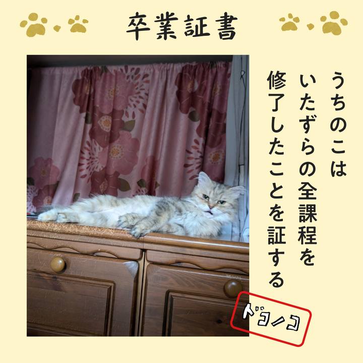 Bfa6d3e4 5caf 4413 9042 7253358c969b 1772327091065