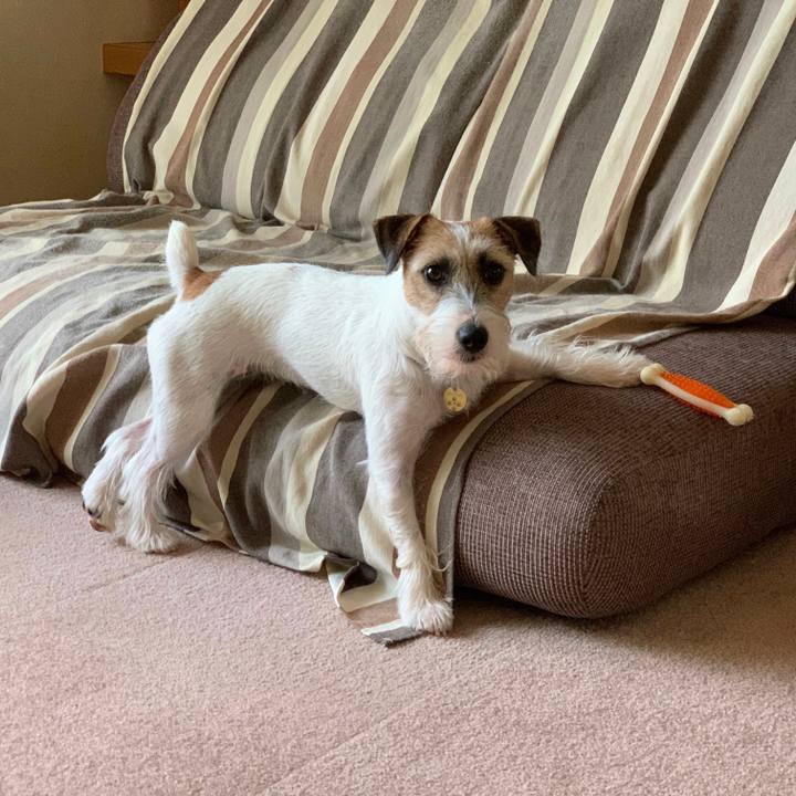 Bfa71c3e e494 4859 8236 b1d5ed210ec1 1597886936696