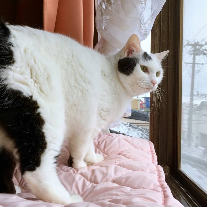 Bfa72c5e 48f8 4dc6 a3ad 03350f659699 1569215943189