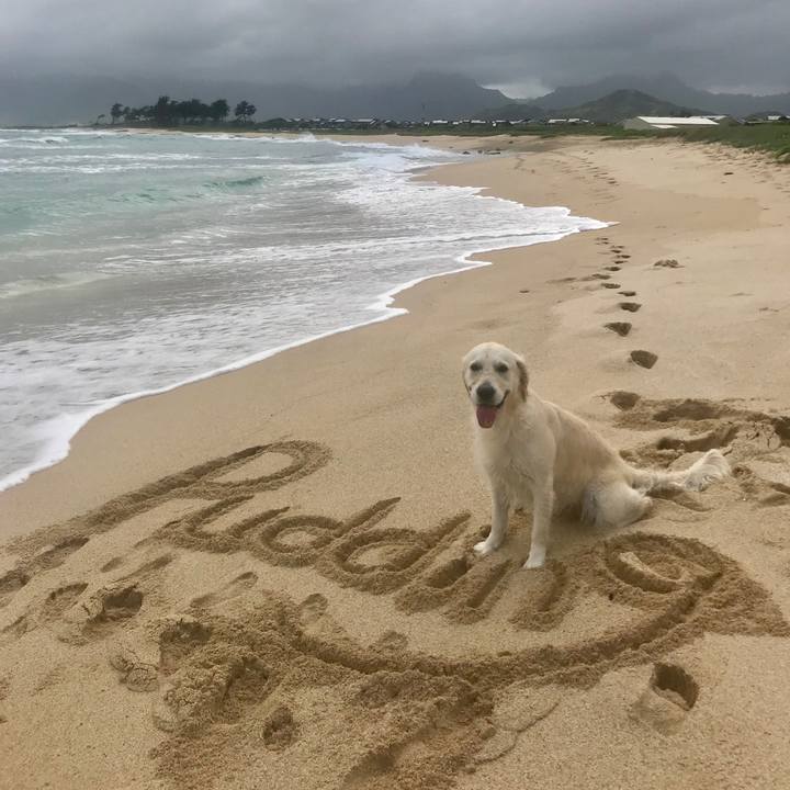 Bfa761d1 8522 4783 b310 e119c3f7127e 1549093584034