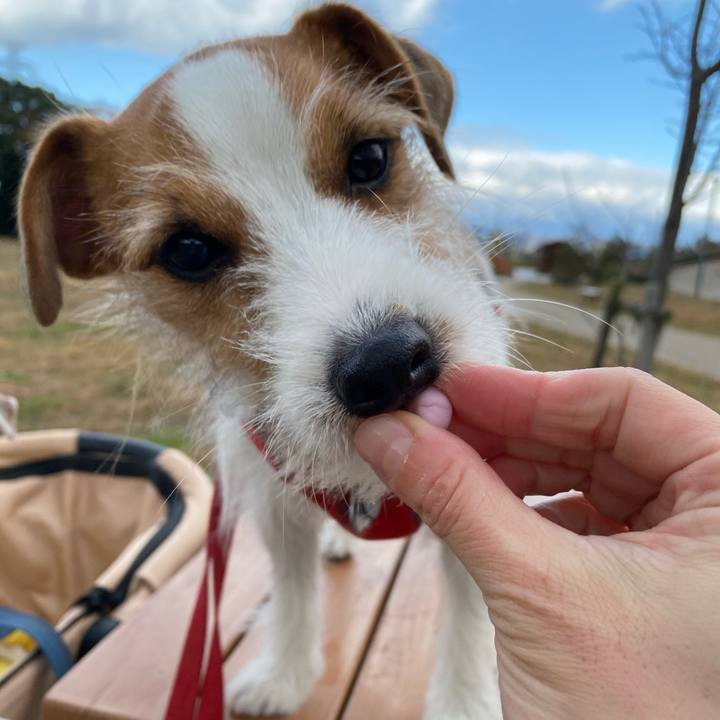 Bfa79986 e295 4148 b2d0 593da13a3fa0 1670759800100