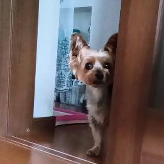 Bfa7ecda 11d5 467a a092 f407f197d39e 1751431294211