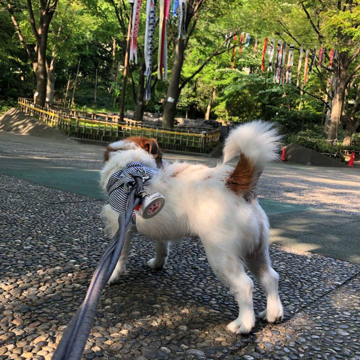 Bfa80115 5e07 4447 9a20 265019c618be 1588373509589