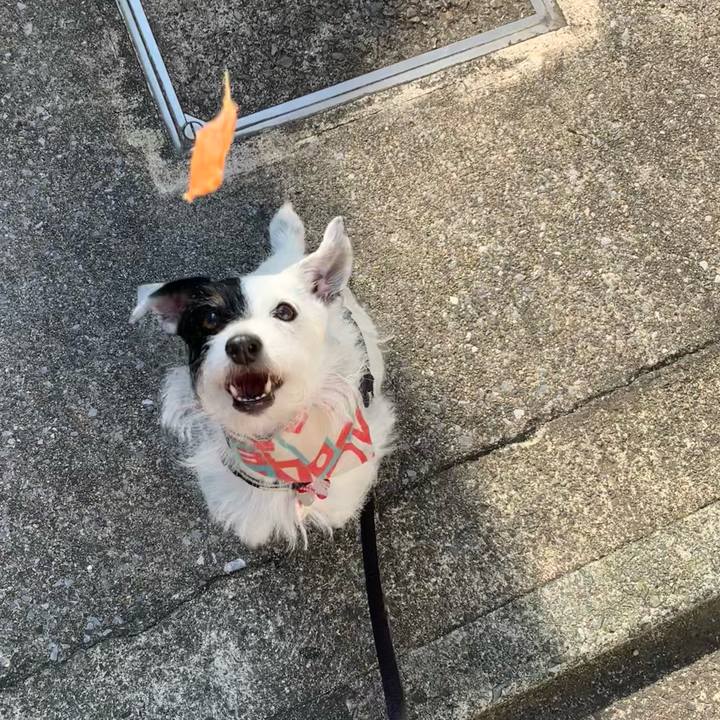 Bfa80bad 4ad6 4dc1 a004 421b7916c975 1689028865501