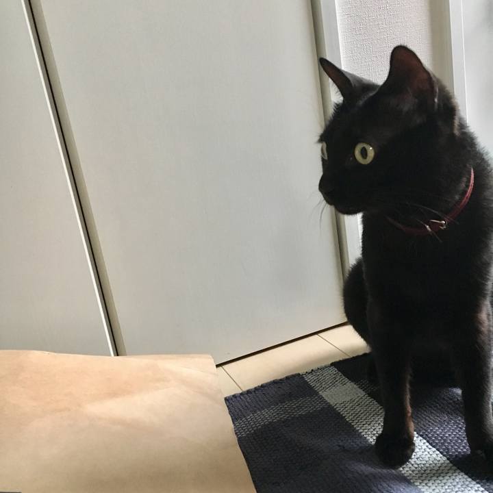 Bfa81cf8 ed72 44e0 94b7 6282b9340a67 1563668380963