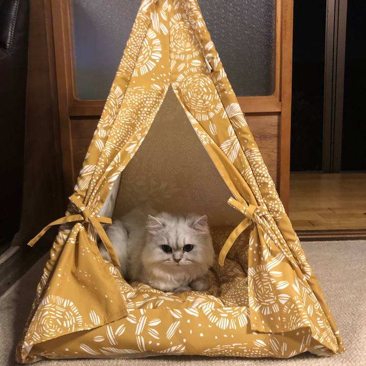 Bfa869ee 693e 4799 8bdd 52133bd9666b 1561461901248