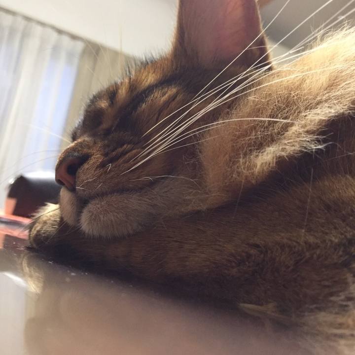 Bfa88b2c b901 4c8d b275 722c67fe59ea 1599528494255