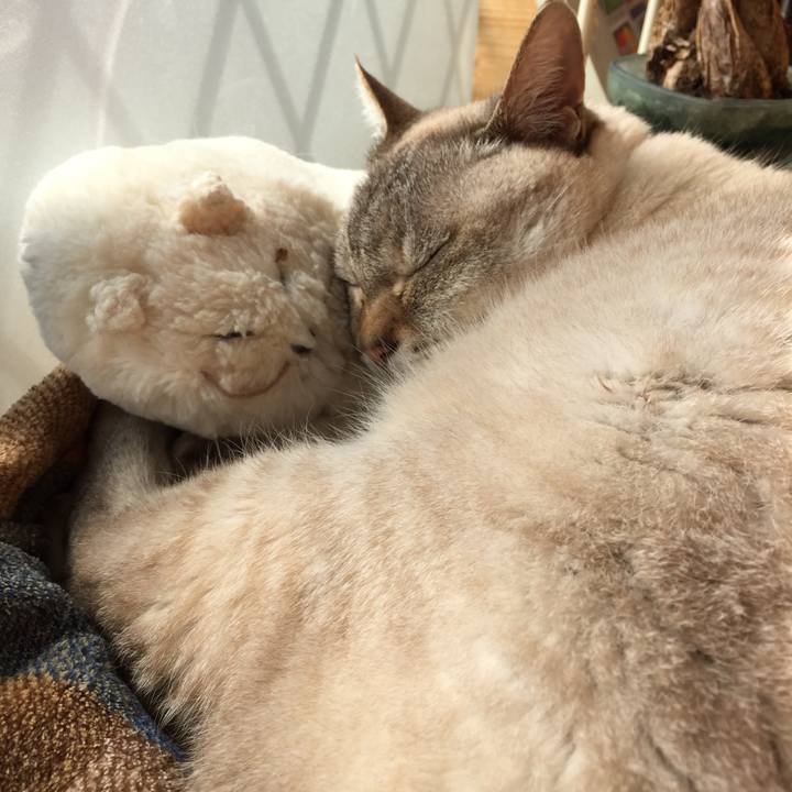 Bfa88cf4 1e23 42e5 bfc9 9382fa110b65 1519698603236