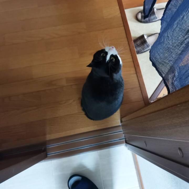 Bfa8a314 072e 400e 8ef8 63163343067e 1608366168752