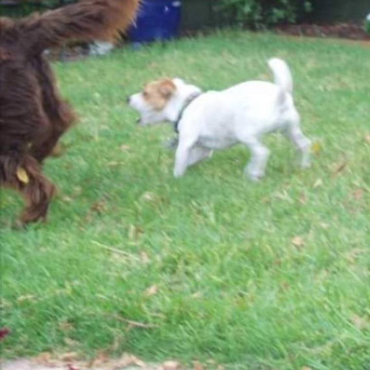 Bfa8ba82 38cf 4212 b2bc aae404e2c807 1762215833399