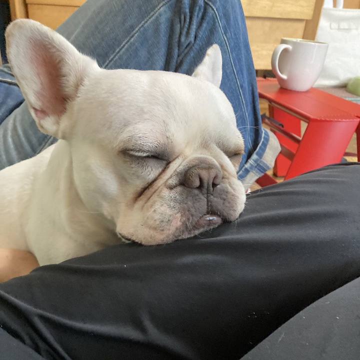 Bfa8d4ab 0cde 492a af5e 116140d51aa5 1685616611373