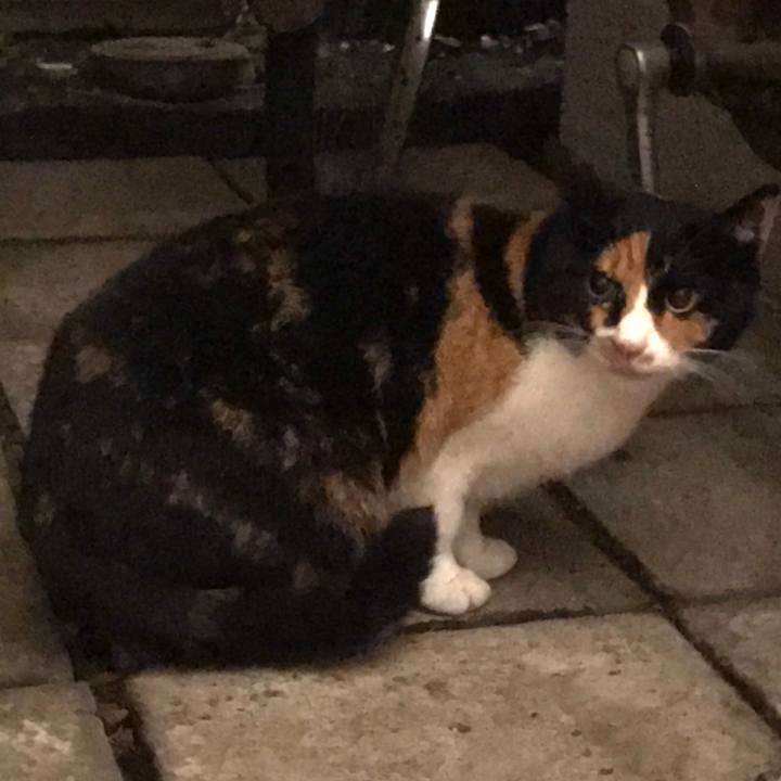 Bfa8d54d 24a8 4264 93fd 963956a65504 1572743050194