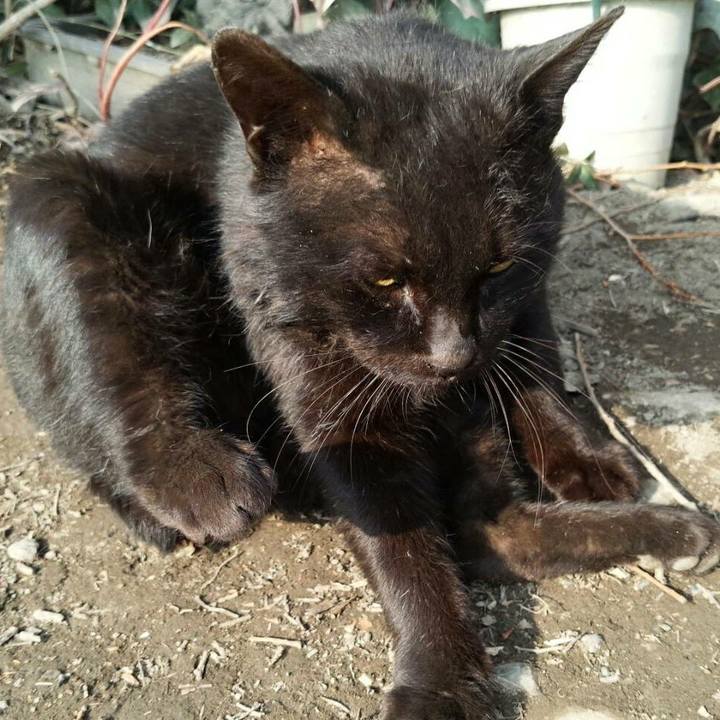 Bfa8e892 a6f4 4ae9 95c9 0bcab0397372 1519700871615