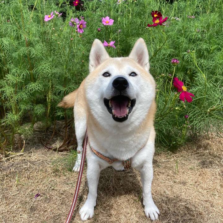 Bfa902d1 fd44 4529 8d3e 36c5d6f80c4f 1636295467158