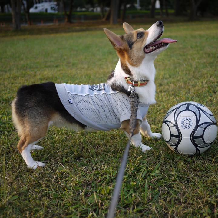 Bfa90801 d11b 4c5d af3a 2acb95cac55b 1763305149553