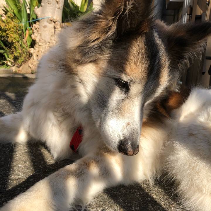 Bfa9114a acb2 4645 b88a 0e42e70201a4 1545352169884