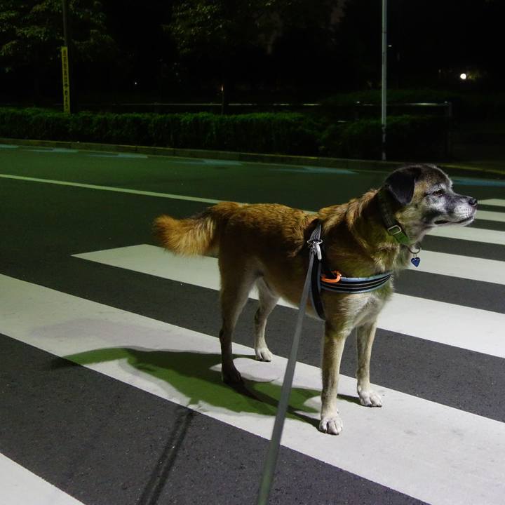 Bfa92add 3055 4607 93bf f31ea8488542 1536758442260