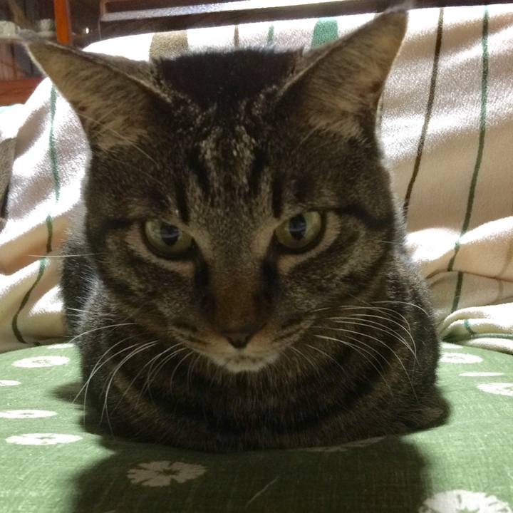 Bfa98f3e db50 4bb8 a935 3e318c0c3a0b 1511186164719