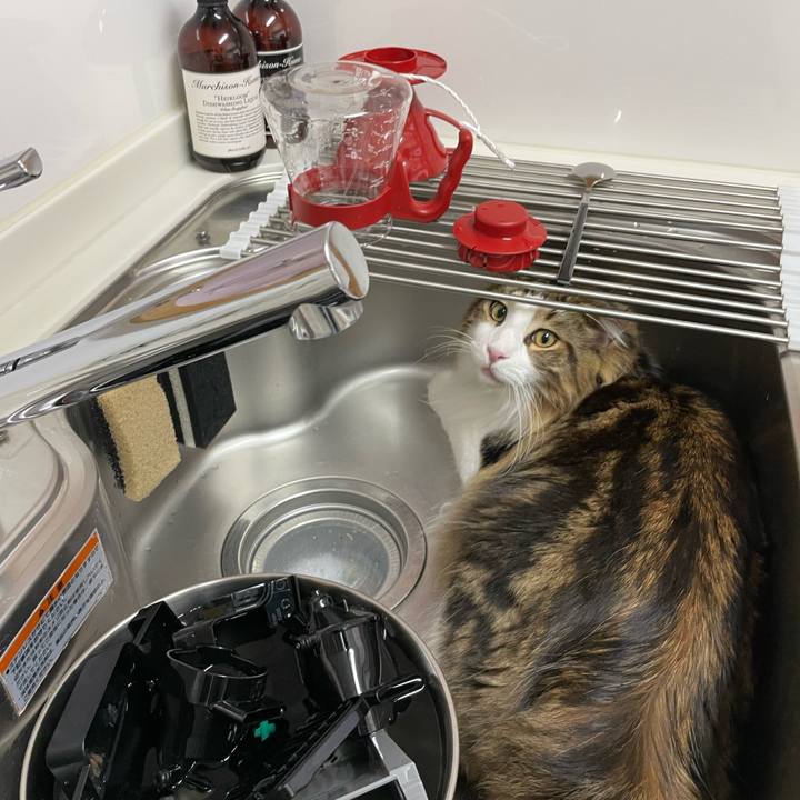 Bfa9b88a b1e1 453f ab61 f3cd583ceb93 1653777061515