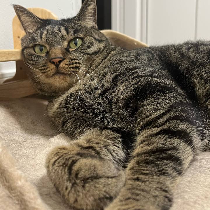 Bfa9cac2 9e87 4d96 953c 8d9a62e65f50 1764317824260