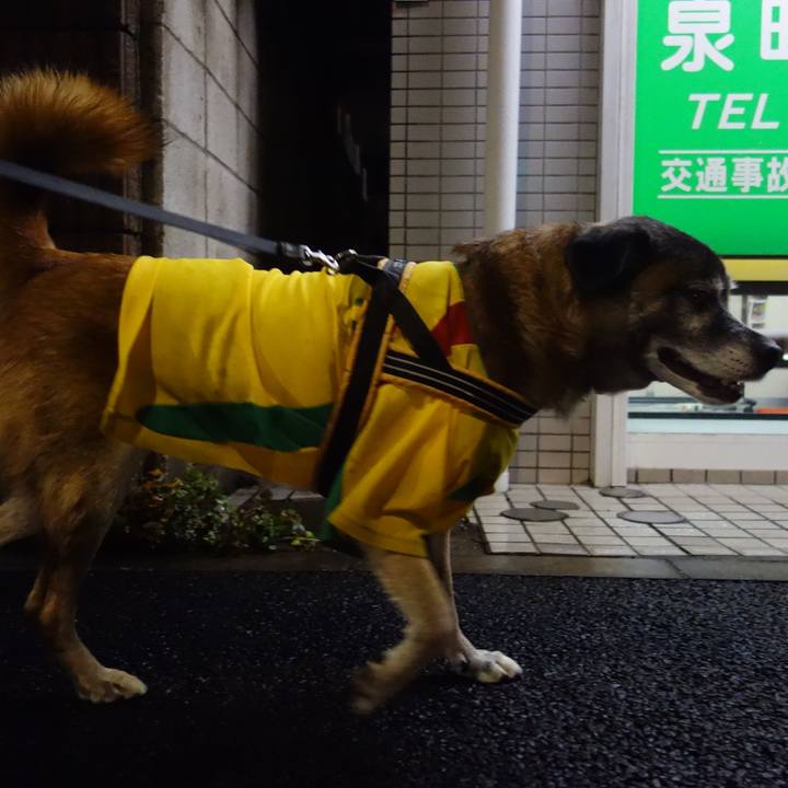 Bfaa1079 ae9d 47f5 8dd2 e0cba076ffbb 1537534142575