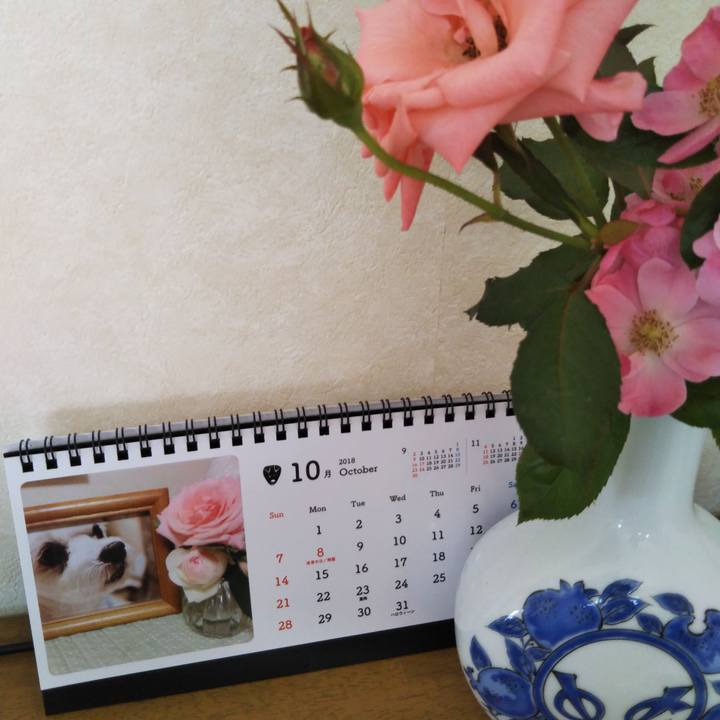 Bfaa277c e4bb 46ed b1e5 9ca057ef6d72 1538354148784