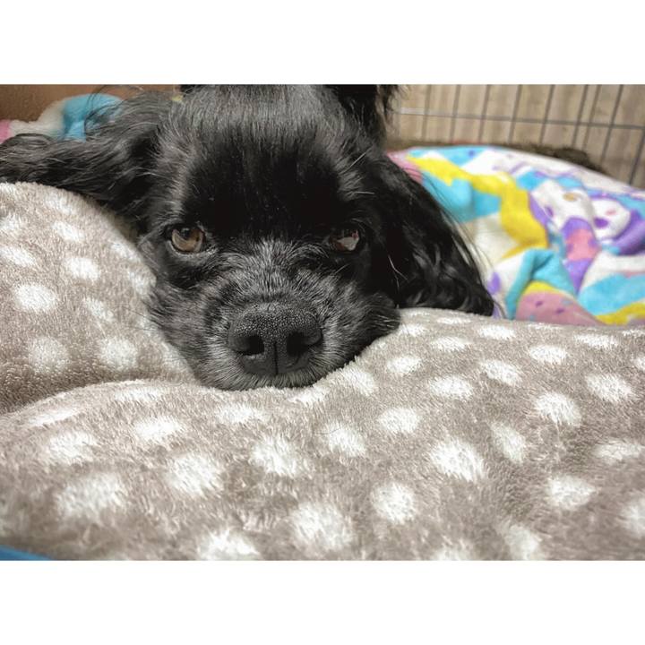 Bfaa5b39 c8fa 4fc7 97f0 9c62d659ba9f 1589641105347