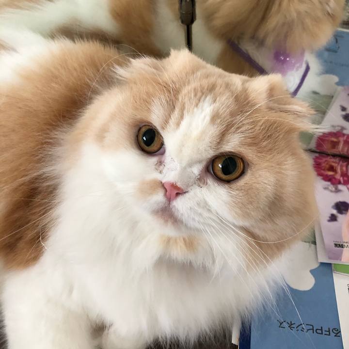 Bfaa6df9 352d 46f8 b0a4 d219a3eaf86a 1615456909773