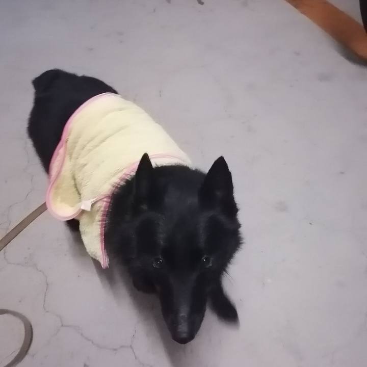 Bfaa7a7f 93ff 4c61 b887 38e45401b9e9 1621510654526