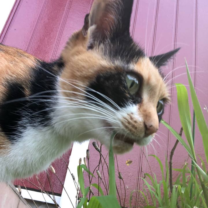 Bfaa8483 f103 493b b6d7 f53019978b56 1595202412889