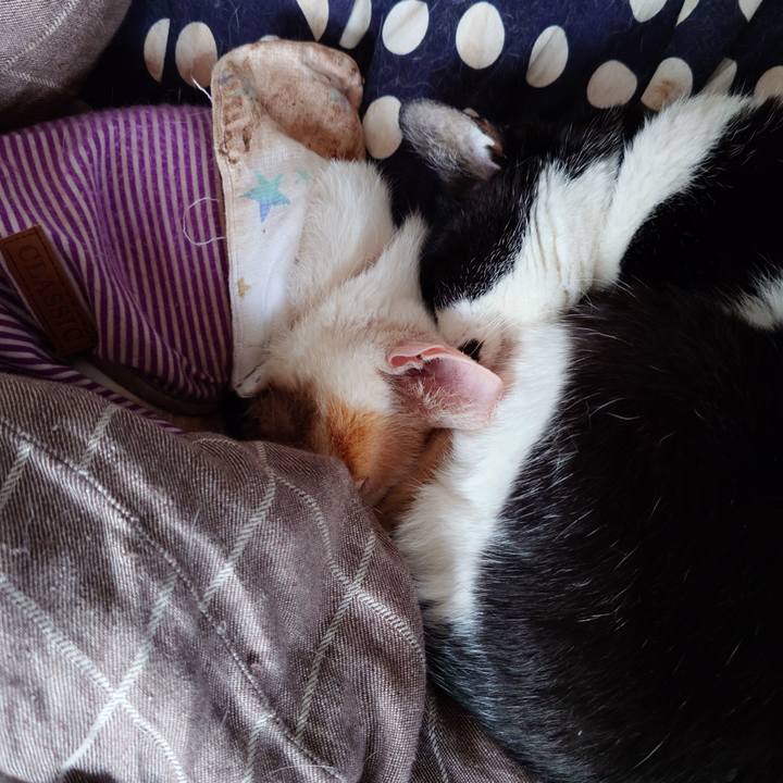 Bfaa89f4 37c5 4b2d be7e 3f18626eafd4 1773043187120