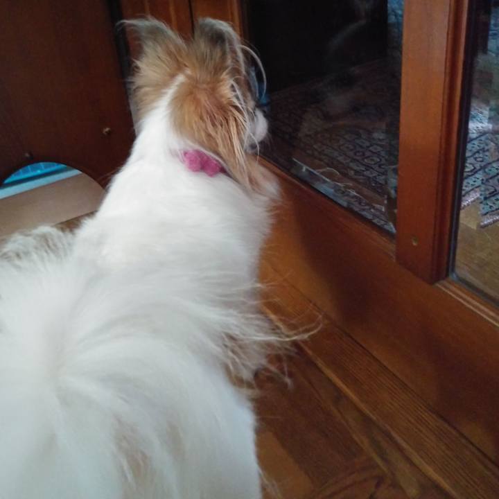 Bfaa8a9a 8eae 455e ba35 1a27d4467234 1535686792840