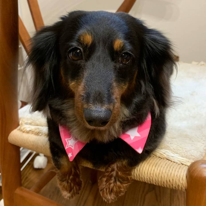 Bfaabcf6 c622 4d21 a5d8 c86b6ac1eab1 1656159282595