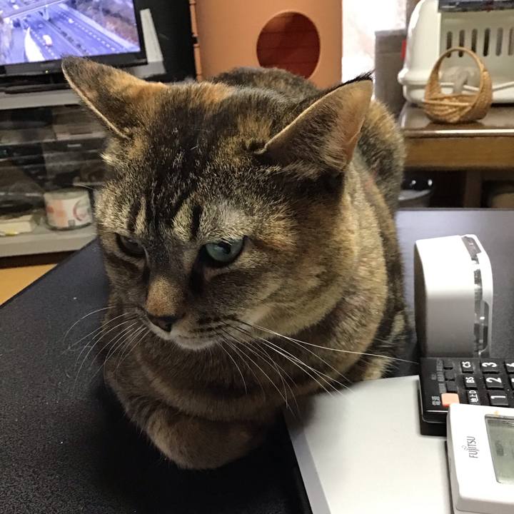 Bfaac3b6 59e6 4f60 bae2 6f4205d889f6 1707098871278