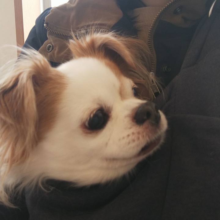 Bfaac8b7 7a29 4921 8e80 2908c0833cfb 1608367527377