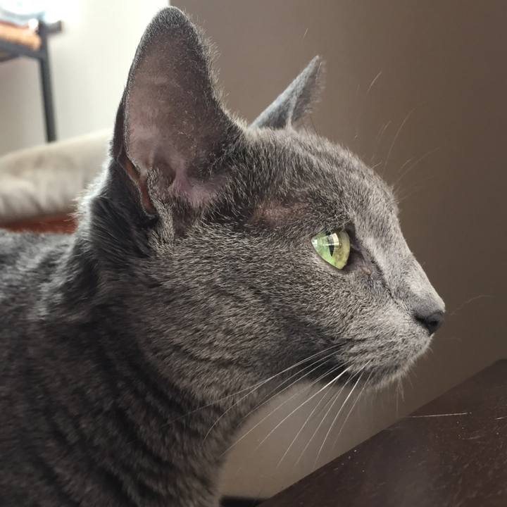 Bfaaeff8 1c1b 405f a322 028ce0644a4a 1567467331208