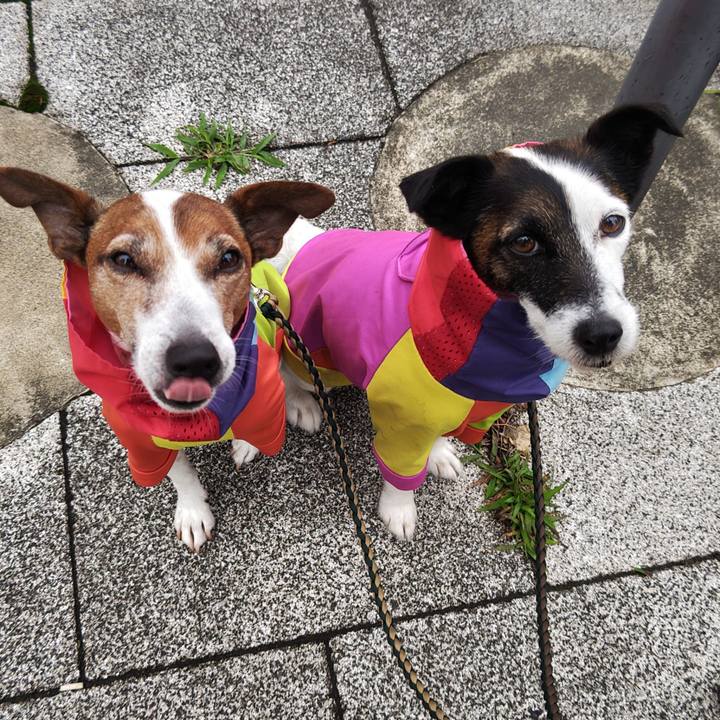 Bfab583a a5c3 4ef1 94bf 3f7304050b1b 1748650223276