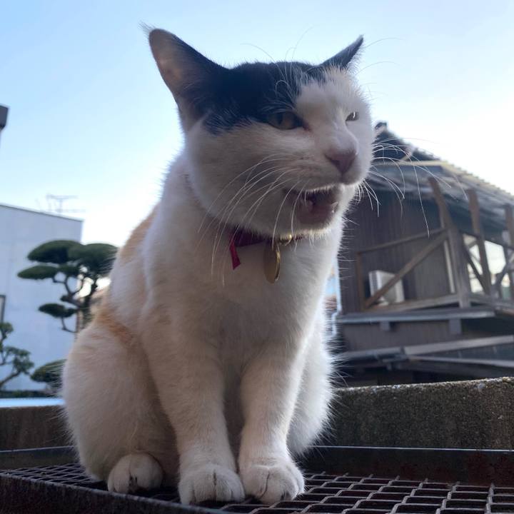 Bfac21db 9b23 4cc7 81f0 22cafcfbea57 1638658870105