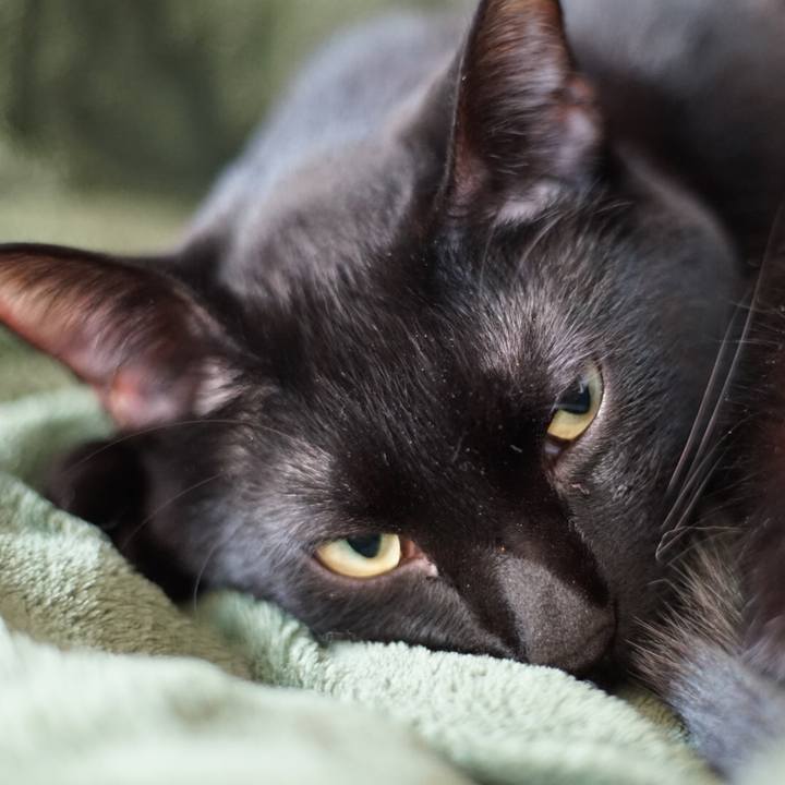 Bfac3f0d 1f38 4c83 ba5a b600335b126e 1518752019070