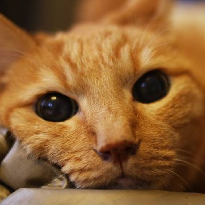 Bfac417f 1c3c 438f 83cb 3be7c60b6862 1606438594049