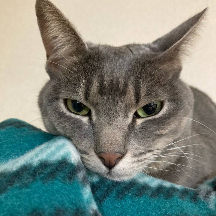 Bfac49cb 63d9 44e6 a7a5 551082a252e7 1604763842200