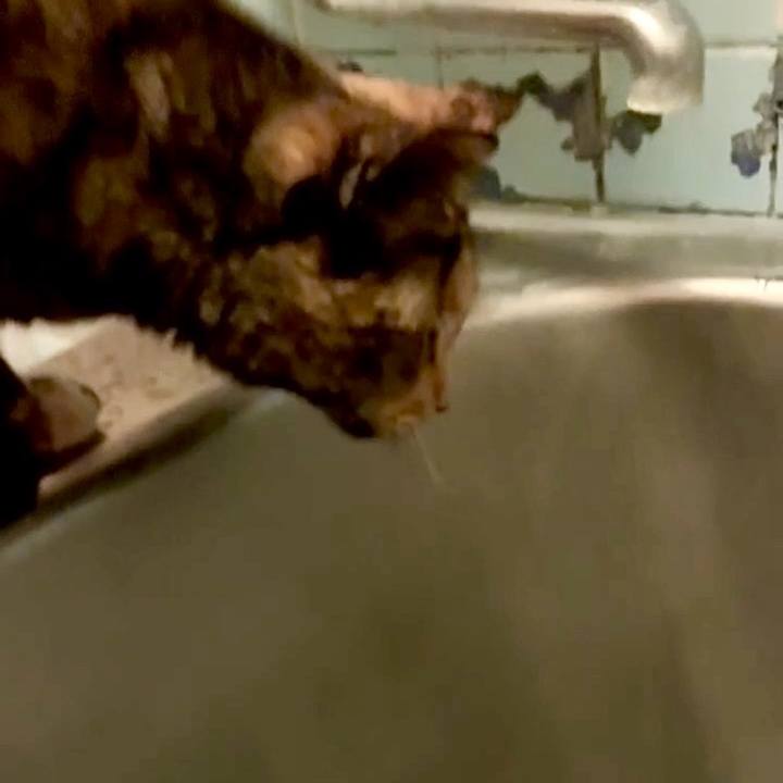 Bfac50fa ada8 408b 9b55 3bc80defe69b 1745873068316