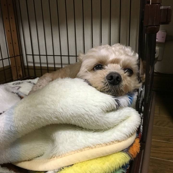 Bfac69ff d7ba 4a07 9a11 eabfc3e57eee 1522840221688