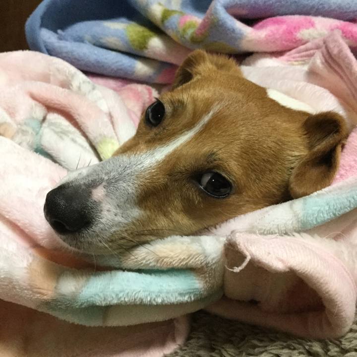 Bfac7504 13a6 4fff 9119 2f8f8bb10820 1519303766818