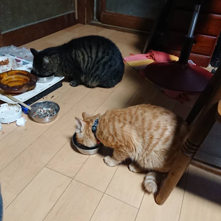 Bfaca262 f3f3 467d ba67 598a0fcbc987 1637443465281