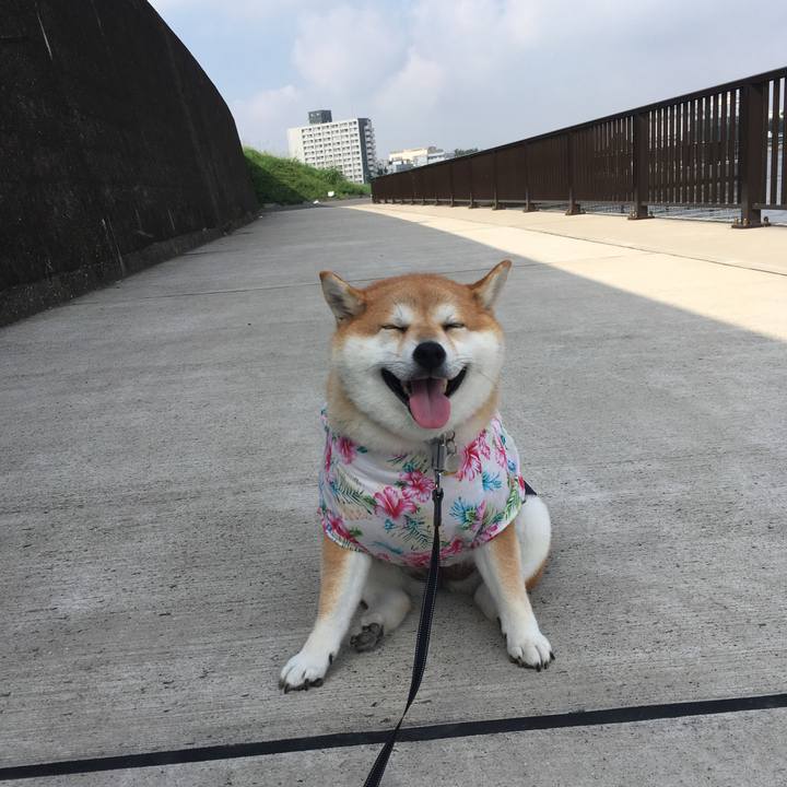 Bfaca8bd 6337 40a4 913a 17161234dfc0 1567380789690