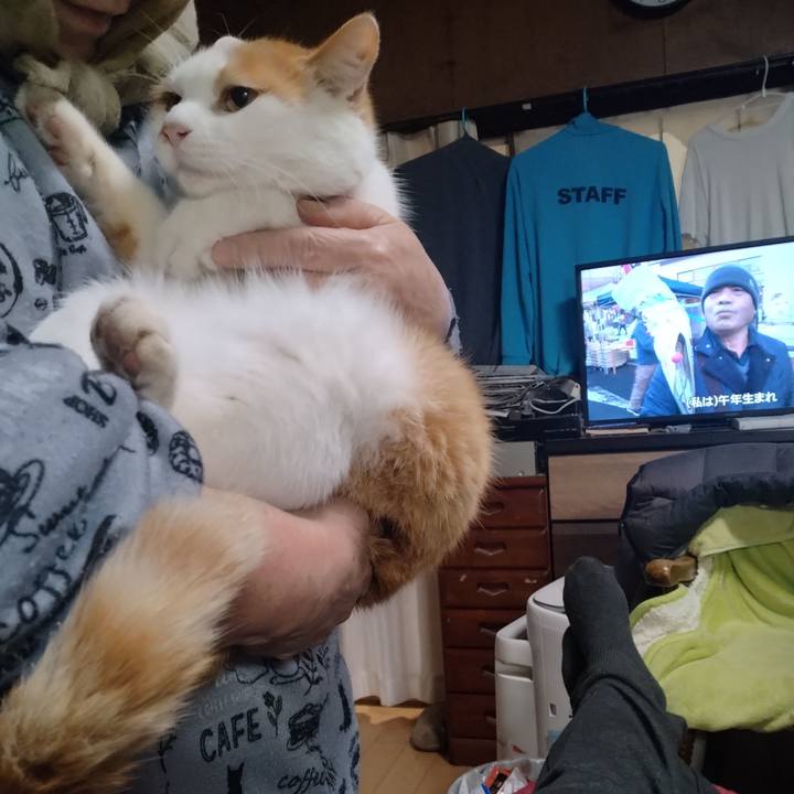 Bfacab99 680a 4cd8 85d6 cce65c981dc1 1768034601741